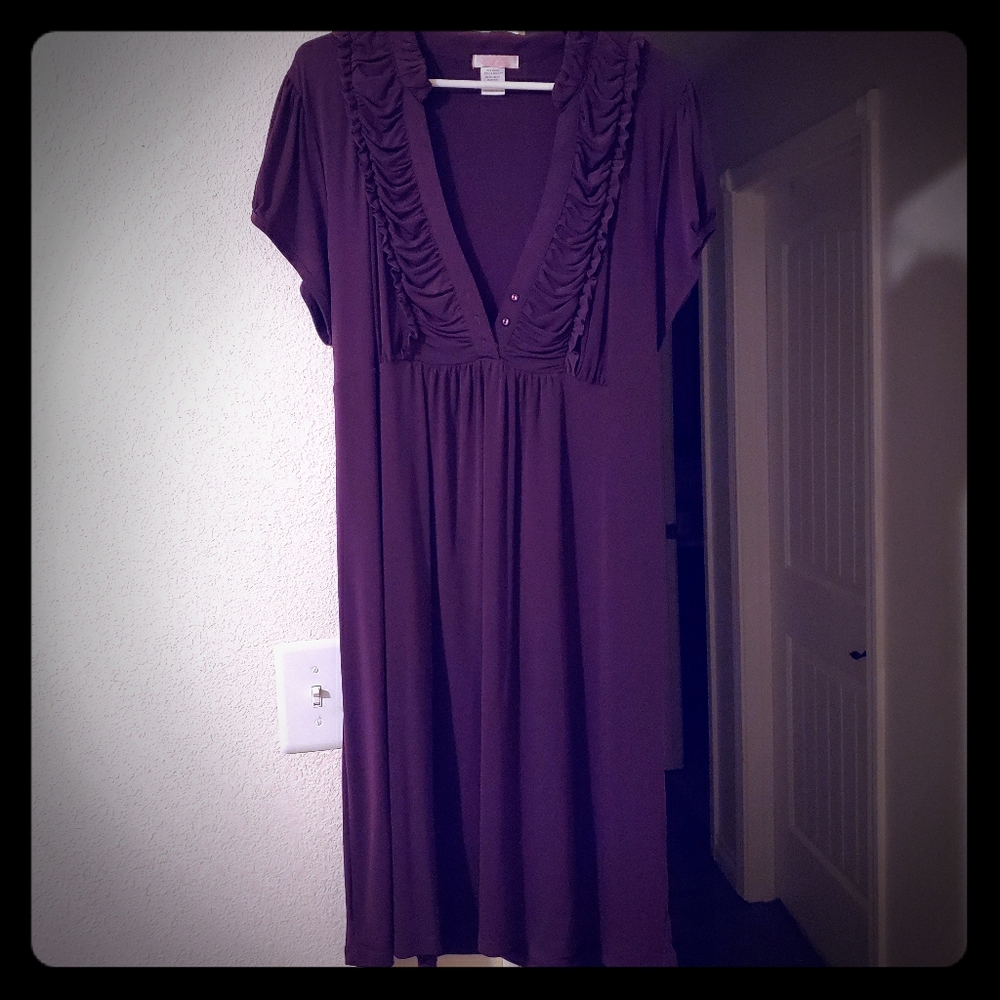 Plum knee length dress